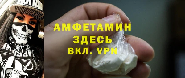 хмурый Аркадак