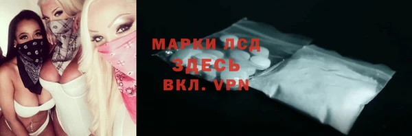 хмурый Аркадак