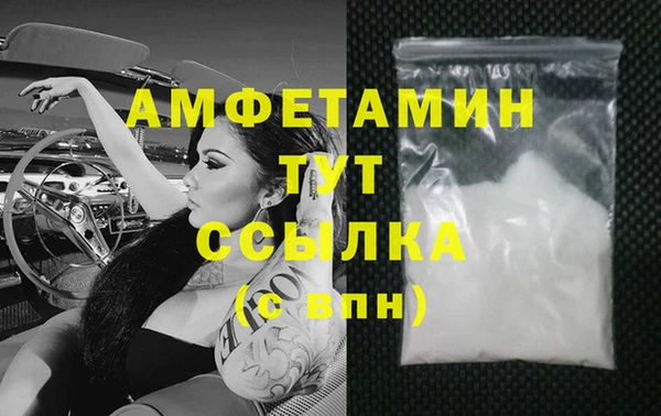 хмурый Аркадак