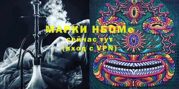 хмурый Аркадак