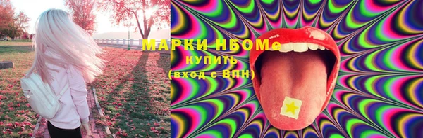 хмурый Аркадак