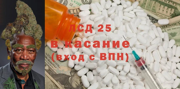хмурый Аркадак