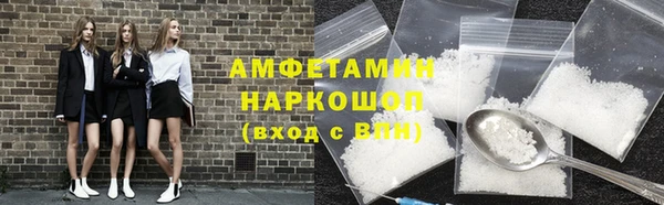 хмурый Аркадак