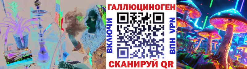 Псилоцибиновые грибы Cubensis  Сланцы 