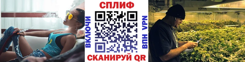Шишки марихуана планчик  закладка  Сланцы 